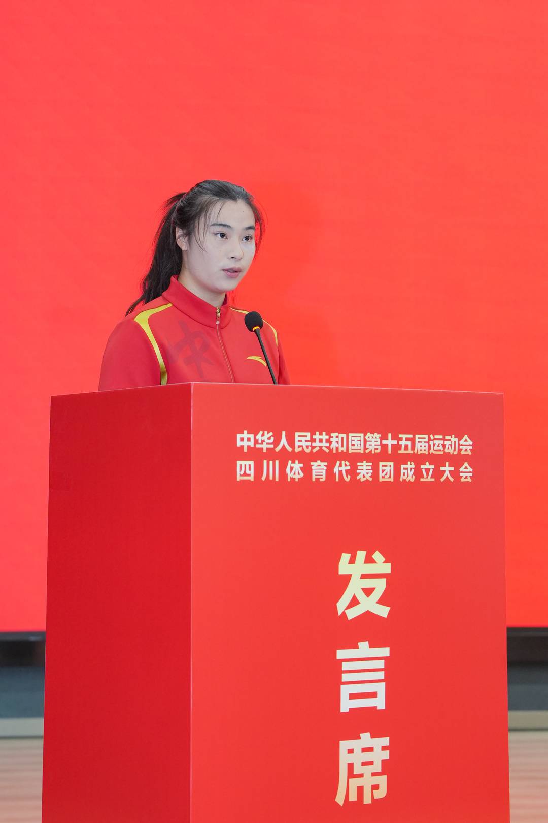 武术以及排 武术以及排