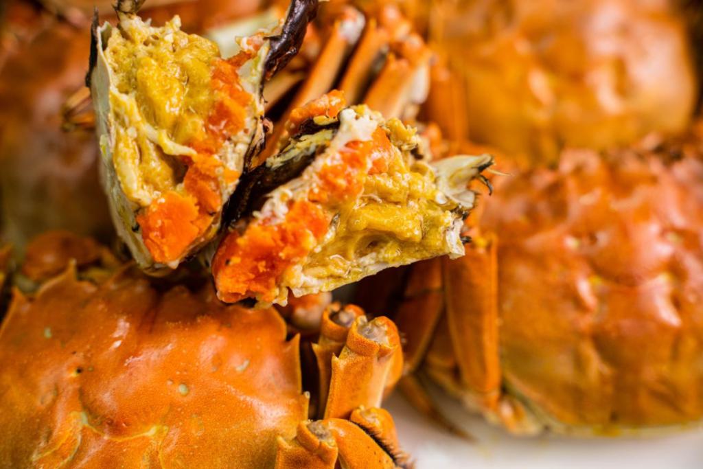 OHlDc, span, 他们在 OHlDc, span, 他们在